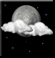 Chance Flurries